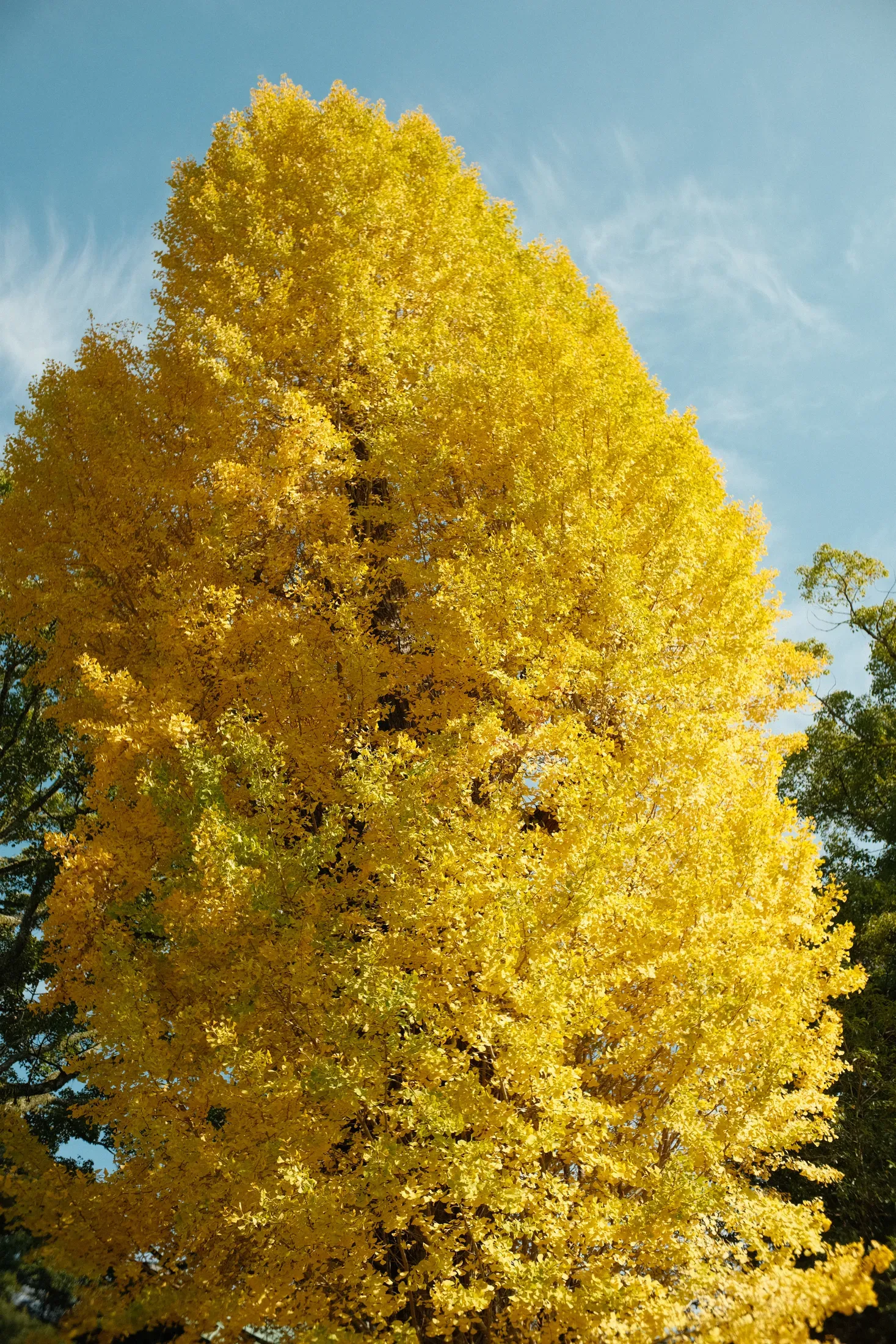 DSCF1111
